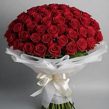 Букет 101 Красная роза Блэк Мэджик #REPLACE_PRED# Новофедоровке