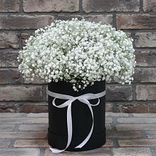 Цветочная композиция из Гипсофила в шляпной коробке в Новофедоровке