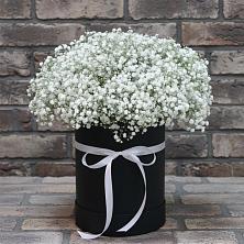 Цветочная композиция из Гипсофила в шляпной коробке в Новофедоровке