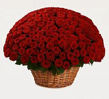 Премиум букет из: Розы #REPLACE_PRED# Новофедоровке